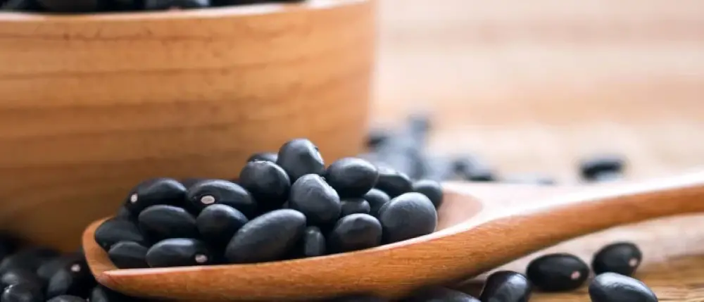 Unlock the Power of Black Beans: 8 Surprising Health Benefits